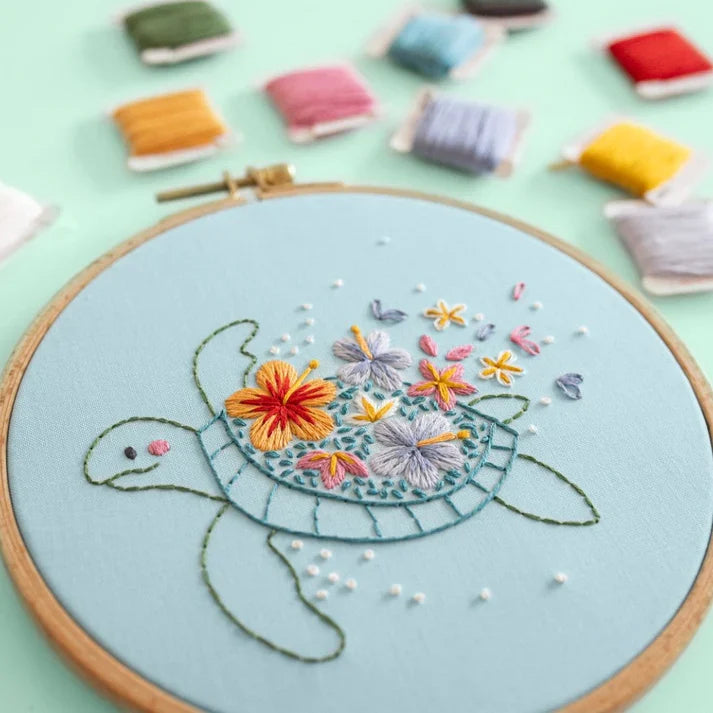 Tropical TurtleBeginner Kit